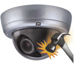 ���������Ͳ�ɫ�z��C